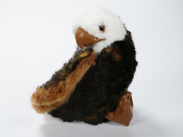 "Levi" Bald Eagle