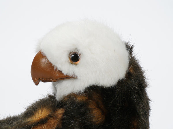 "Levi" Bald Eagle