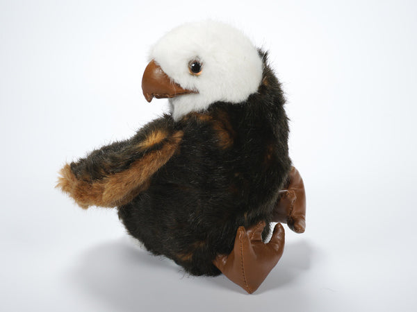 "Levi" Bald Eagle