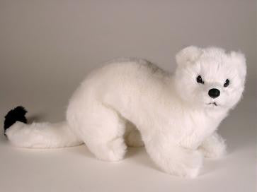 "Herman" Ermine