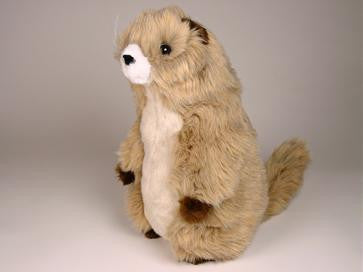 "Phil" Groundhog