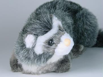 "Fitch" Ermine