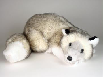 "Megan" Silver Fox