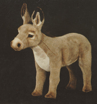 "Gus" Donkey