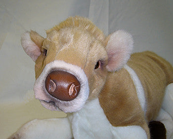 "Flossie" Cow