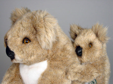 "Sam & Sooky" Koalas
