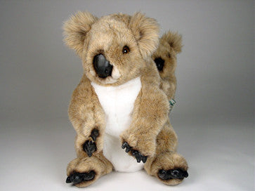 "Sam & Sooky" Koalas