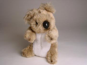 "Sooky" Koala