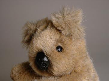 "Sooky" Koala