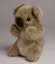 "Gummy" Koala