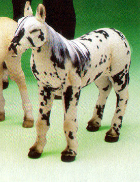 "Dice" Appaloosa Colt