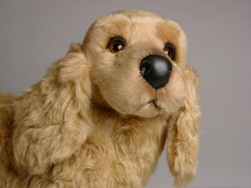 "Sadie" Cocker Spaniel