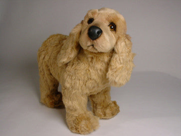 "Sadie" Cocker Spaniel