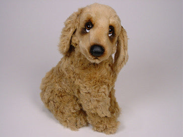"Feller" Cocker Spaniel