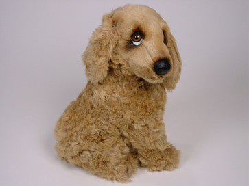 "Feller" Cocker Spaniel