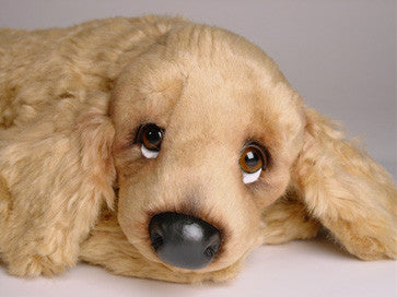 "Buffy" Cocker Spaniel
