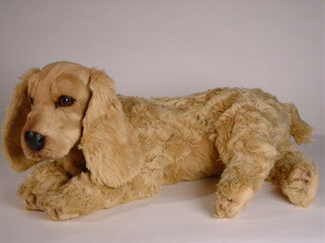 "Sophie" Cocker Spaniel