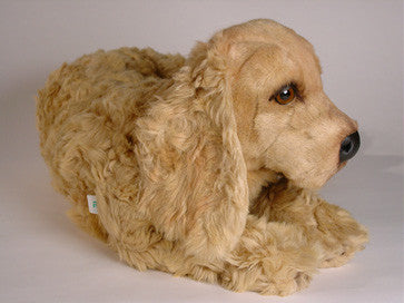 "Sophie" Cocker Spaniel