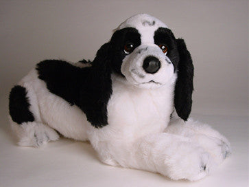 "Checkers" Cocker Spaniel