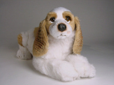 "Deuce" Cocker Spaniel