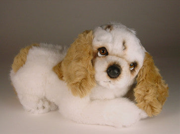 "Paisley" Cocker Spaniel