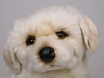 "Breeze" Maremma Sheepdog