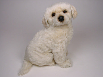 "Breeze" Maremma Sheepdog