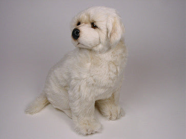 "Breeze" Maremma Sheepdog