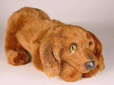 "Paprika" Irish Setter