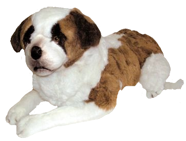 "Nemo" Saint Bernard