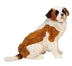 "George" Saint Bernard