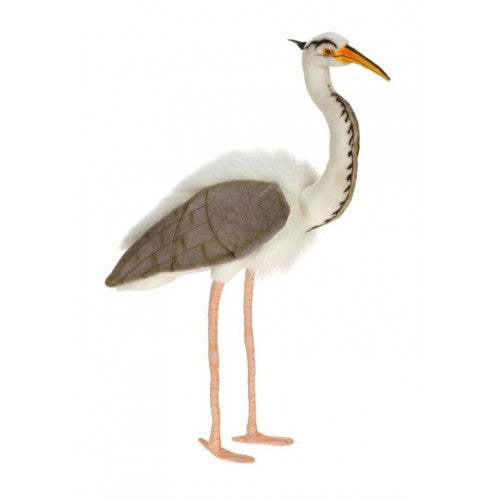 "Brommie" Great Blue Heron