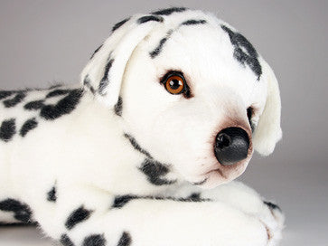 "Spottie Dottie" Dalmatian