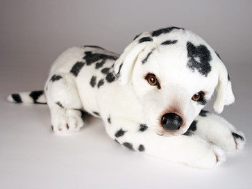 "Spottie Dottie" Dalmatian