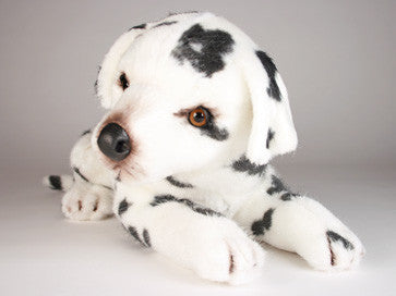 "Spottie Dottie" Dalmatian