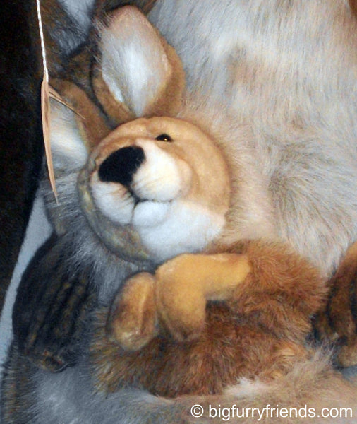 "Sydney" Kangaroo and Joey
