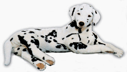 "Pongo" Dalmatian