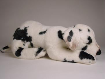 "Blaze" Dalmatian