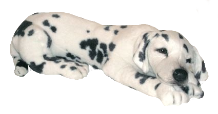 "Sparky" Dalmatian