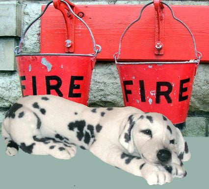"Sparky" Dalmatian