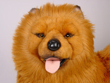 "Jo-Fi" Chow Chow