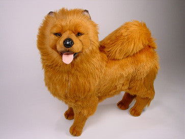 "Jo-Fi" Chow Chow
