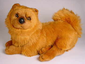 "Cinnamon" Chow Chow