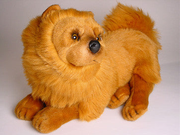 "Cinnamon" Chow Chow