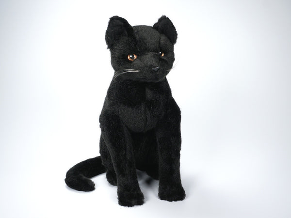 "Gotham" Chartreux Certosino Cat