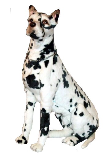 "Longfellow" Great Dane Harlequin