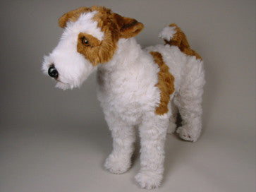 Wire toy fox sales terrier