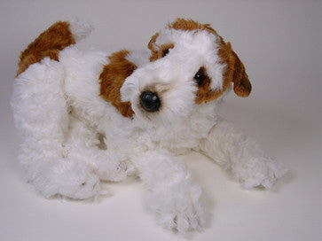 "Cara" Wire Fox Terrier