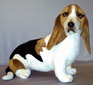 "Trooper" Basset Hound