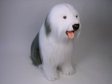 "Shepton" Old English Sheepdog